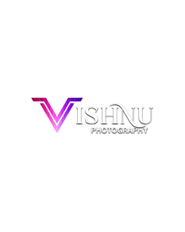 Vishnu logo